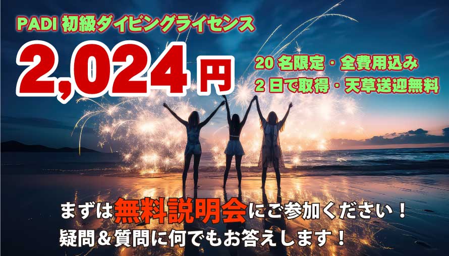 PADI初級ダイビングライセンス　2024円